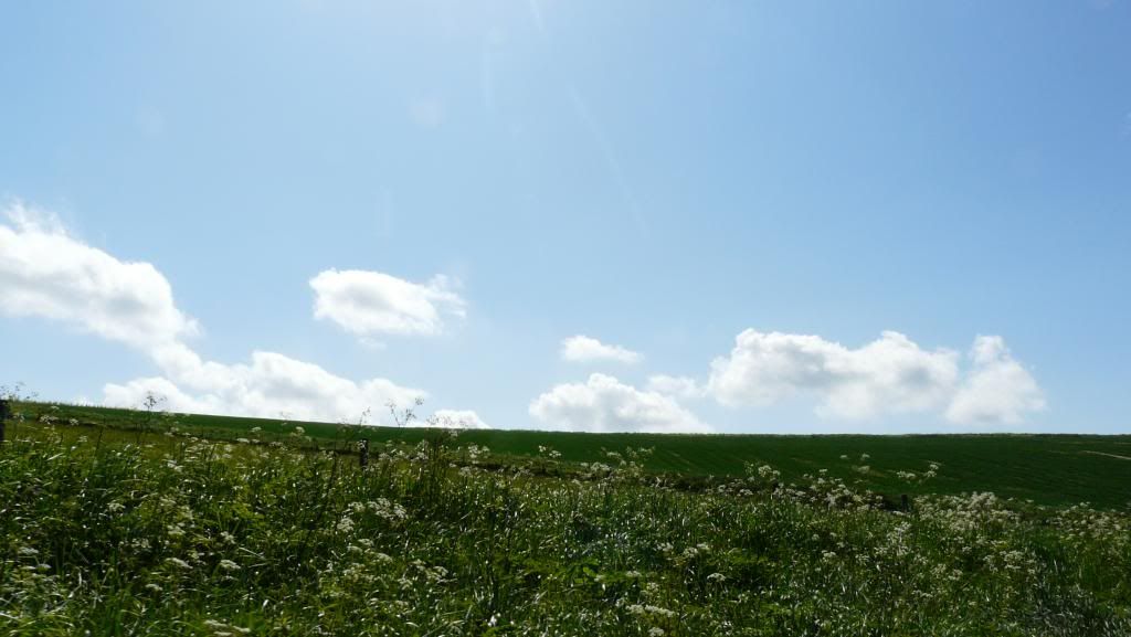 P1030710_zpscc241de8.jpg
