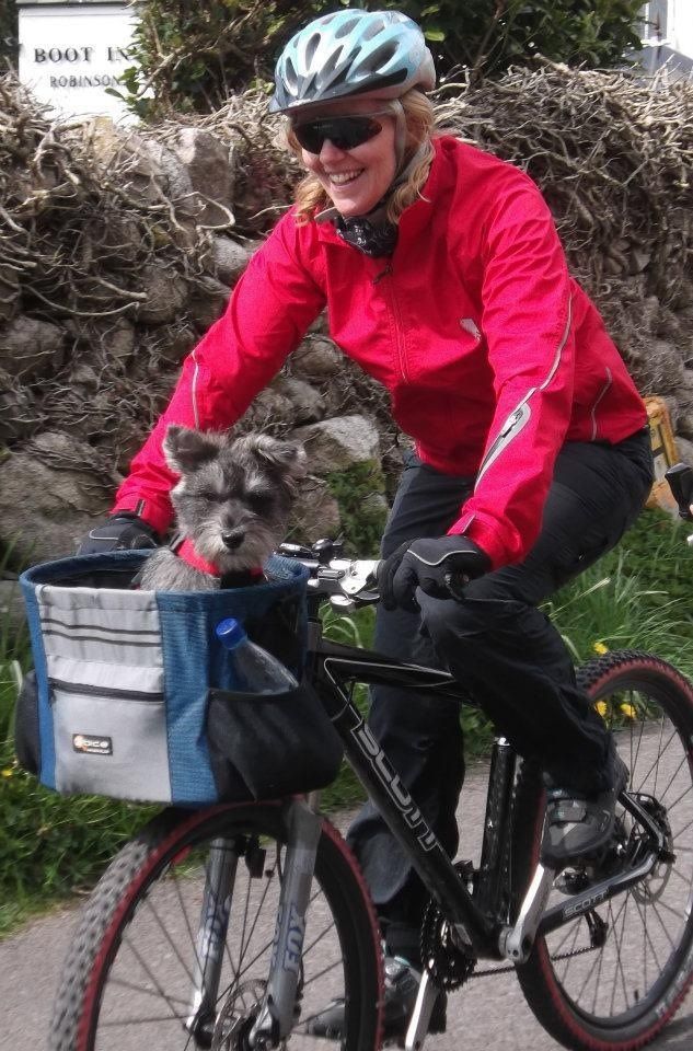 Bike basket for a mini The Schnauzer Forum