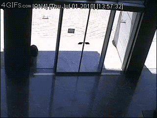 [Image: tumblr_m81xujZzjT1rrur86o1_400_zps279a75f7.gif]