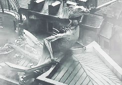 [Image: tumblr_mf91lzMp2P1qfv89lo2_r1_250_zps3ef3ddde.gif]