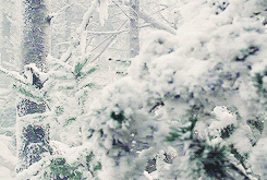 [Image: tumblr_mfyv83QHOF1rsz77yo5_250_zps498ef838.gif]