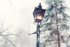 [Image: tumblr_mfyv83QHOF1rsz77yo8_250_zpse97ba524.gif]