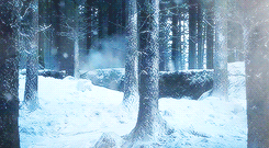 [Image: tumblr_mhki3mAAV51rmow5do5_250_zpsa9390741.gif]