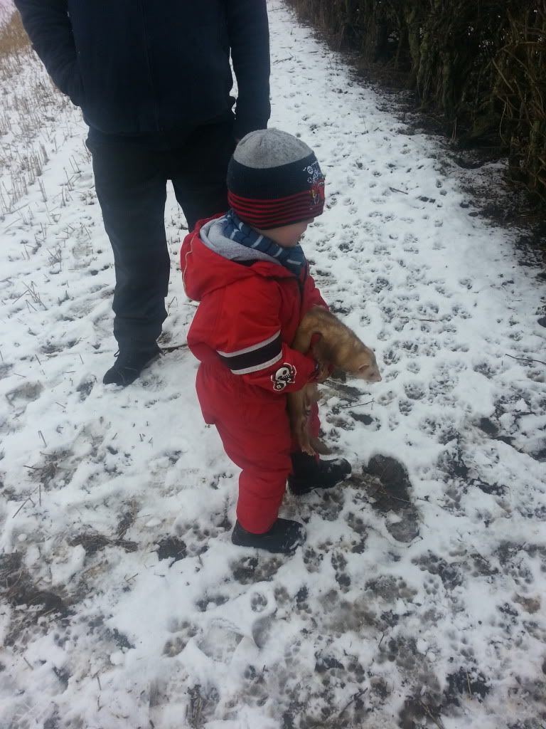 20130224_113743_zps33f6c08c.jpg