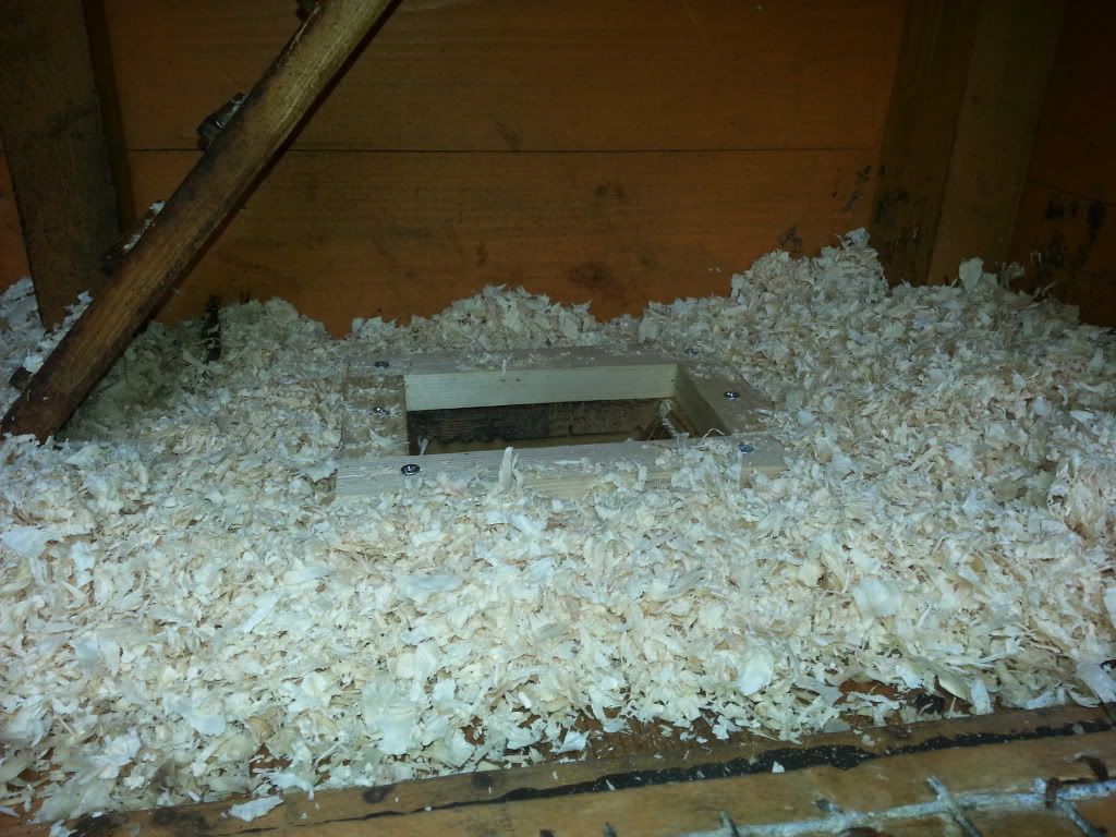 20130519_144050_zpsbdd12527.jpg
