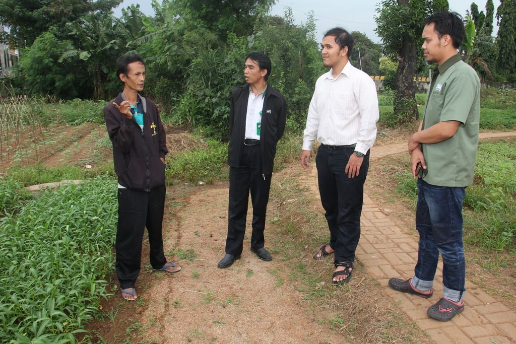 petani petani