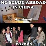 Chinese Apartment and Friends