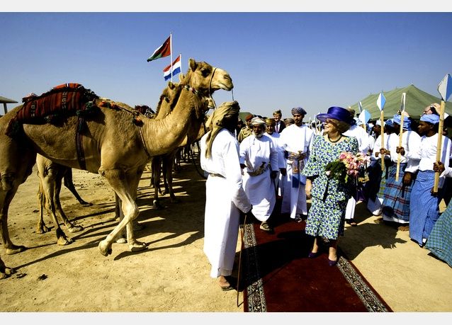 C-Camel-Beatrix_zpsadc1deaf.jpg