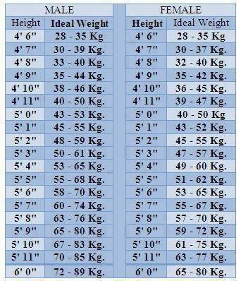 1184915 617891601567435 1288287037 n zpseb4a9fa4 - Hight and weight