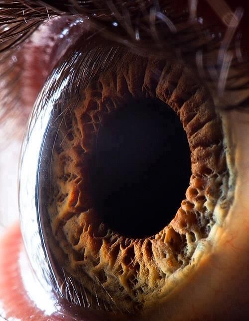 226525 539148686108394 1781874174 n zpsc967de26 - A high definition close up view of a human eye.