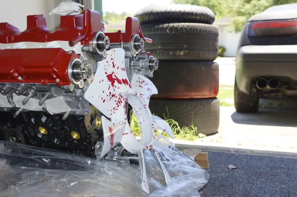  photo DSC06163_zps72ee7224.jpg