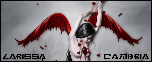 RedRosev3_zpsa7159615.png