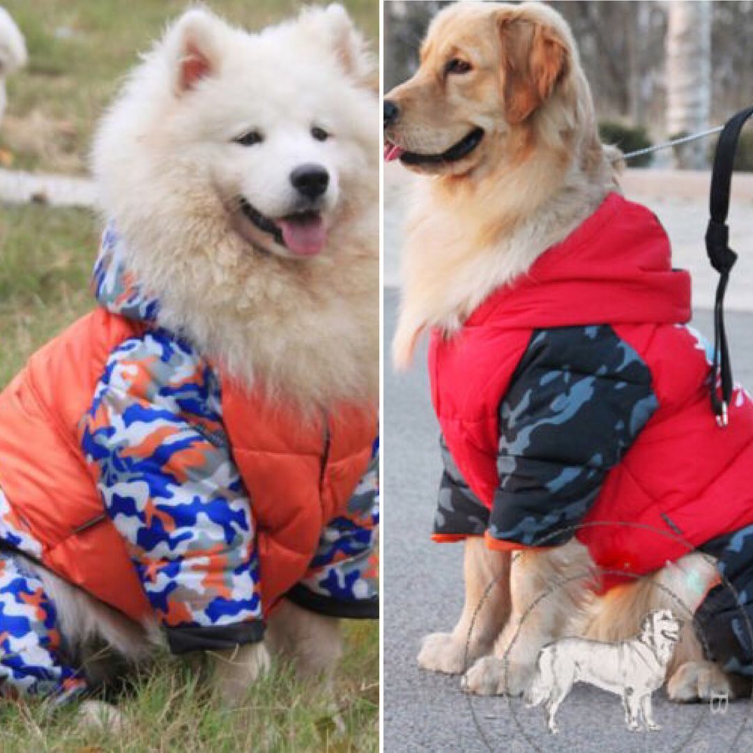 large breed dog jumpers