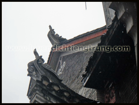 photo DSC00543_zps2bidez20.gif