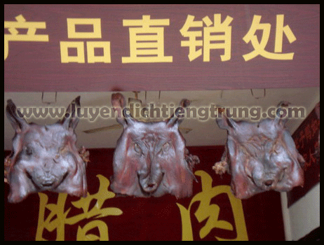 photo DSC00544_zpsp1eyuudq.gif