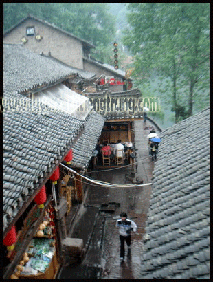photo DSC00594_zpsmeaftfl2.gif