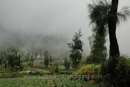 photo DSC_8813_zpsqeryesif.jpg