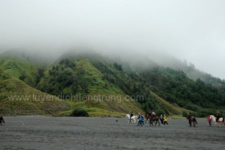 photo DSC_8859_zpsifikp7hf.jpg