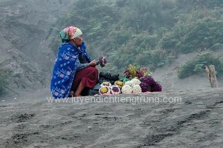 photo DSC_8883_zpspcdqgaum.jpg